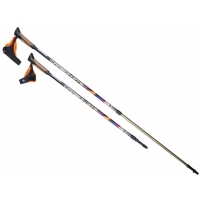 Скандинавская ходьба Скандинавская ходьба